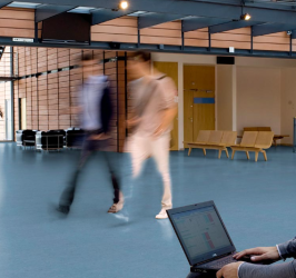 Linoleo dlw de gerflor
