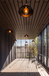 WOODLINES 1